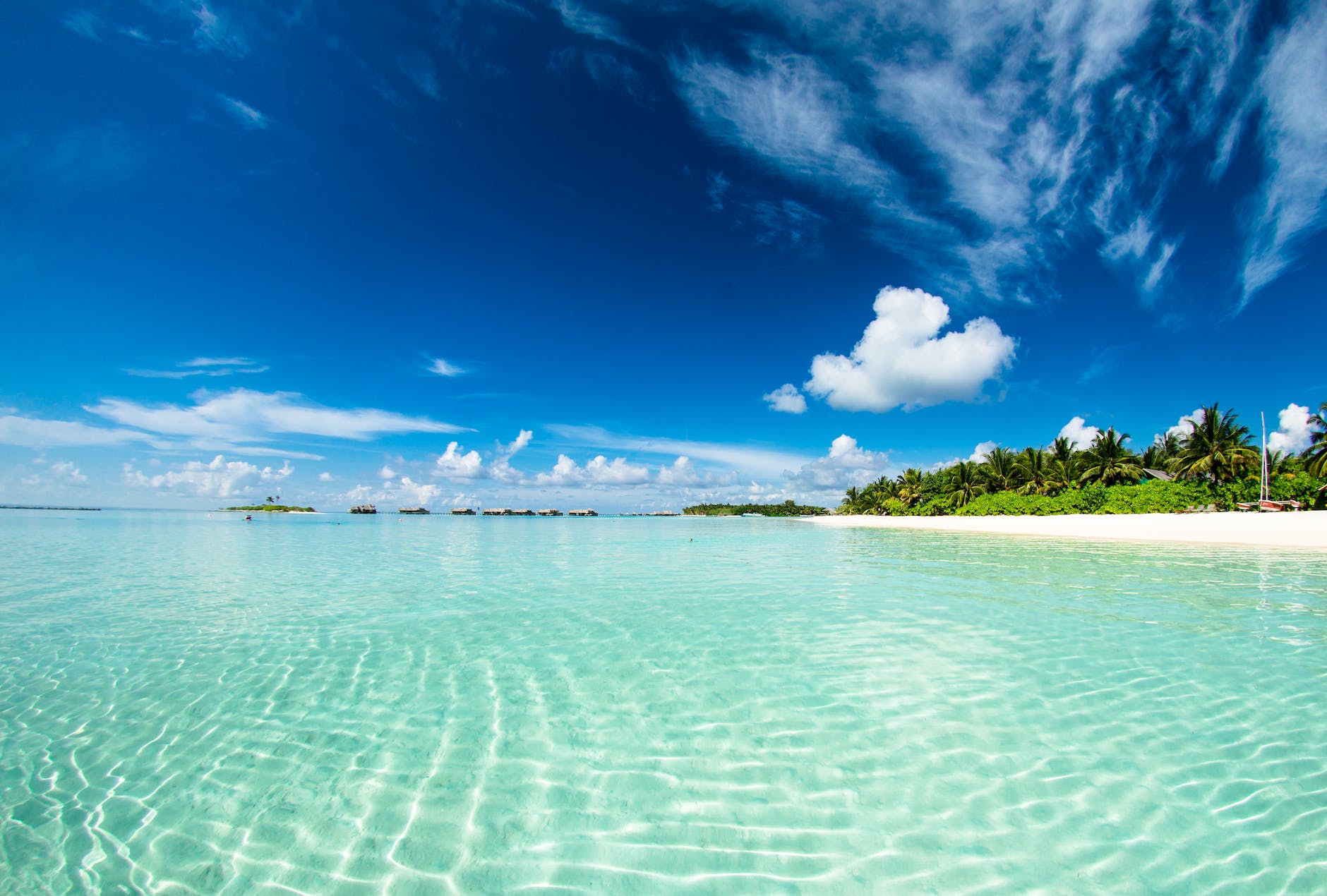 Maldives 2023 travel trends for the next 30 and 31 to 90 days
