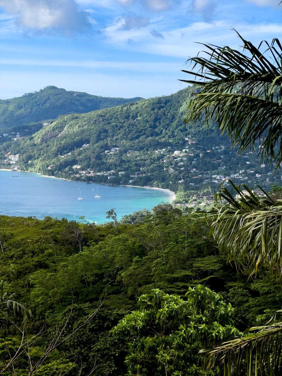 Seychelles Weekly Predictive Market Insights and Inbound Travel Trend Forecast, July 2023