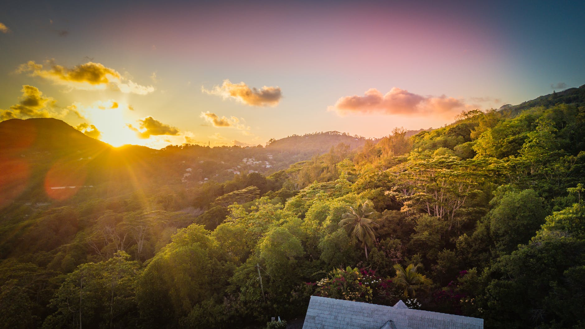 Seychelles Weekly Predictive Market Insights and Inbound Travel Trend Forecast, July 2023