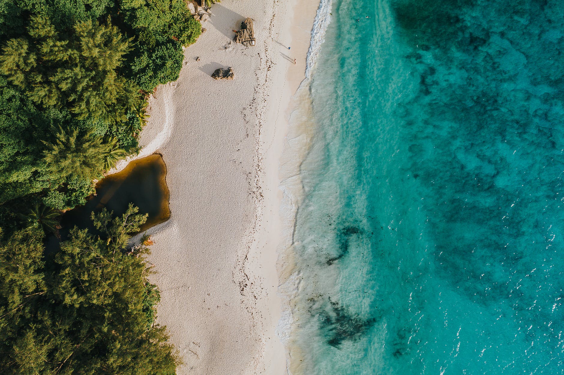 drone footage of a beach
