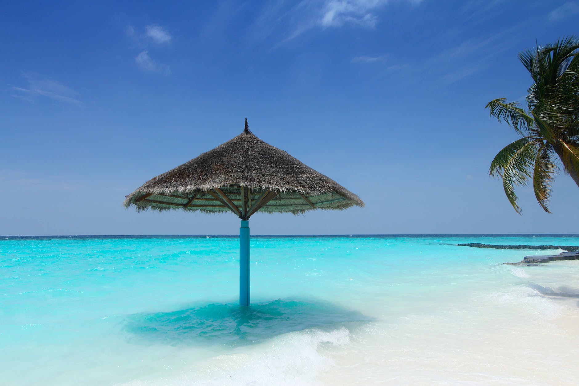 Maldives Weekly Predictive Market Insights and Inbound Travel Trend Forecast, August 2023